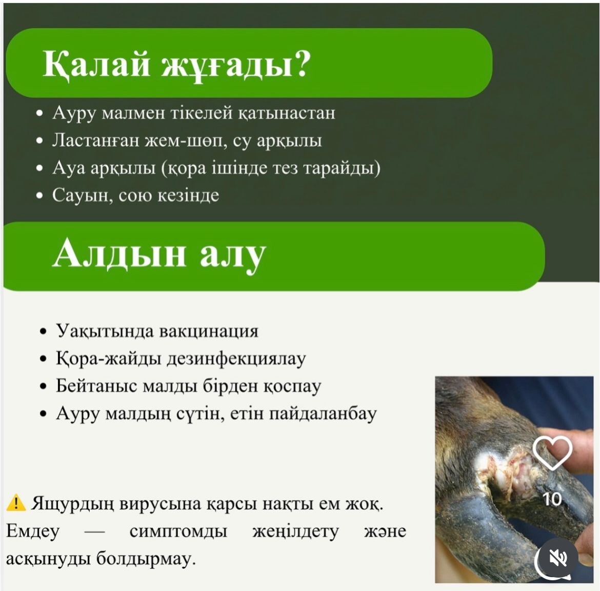 WhatsApp Image 2026-03-26 at 11.41.03.jpeg