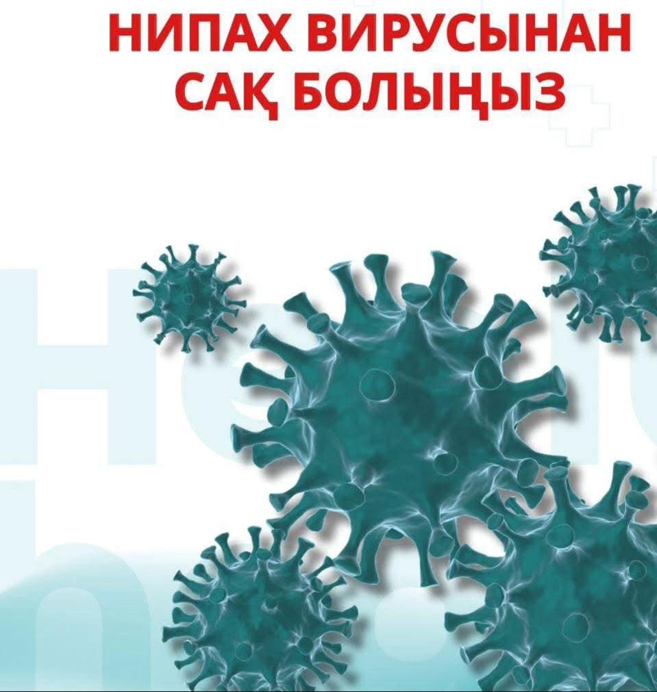 WhatsApp Image 2026 02 02 at 16.25.36